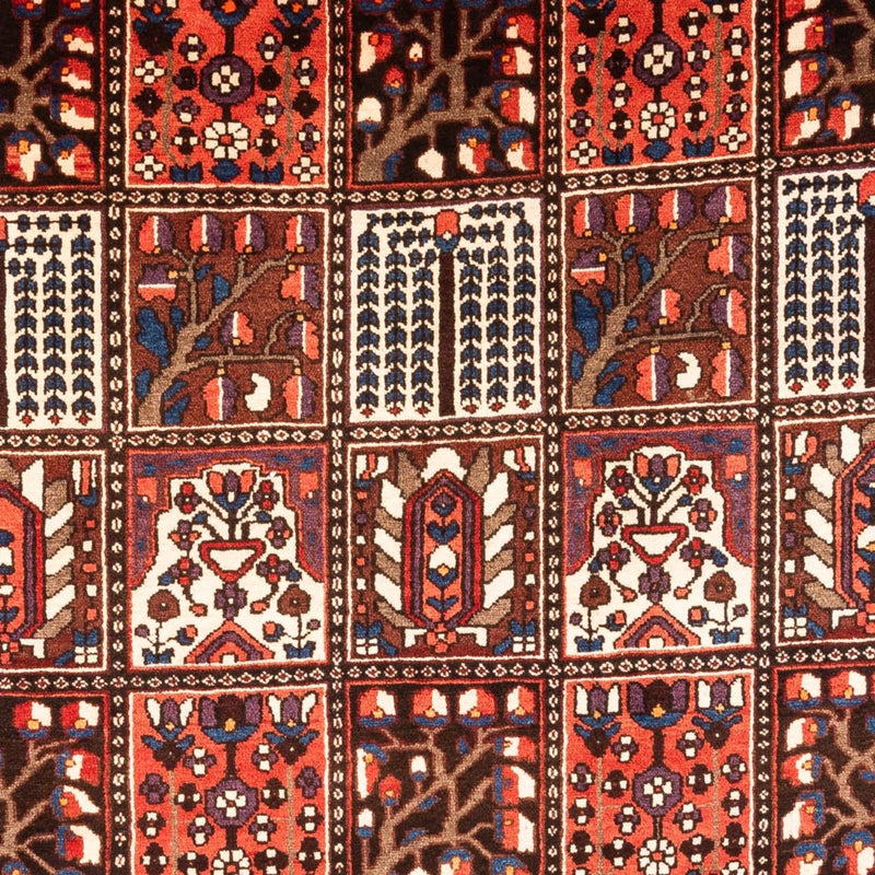 Bakhtiari Tapete 317x210cm - Tapete persa