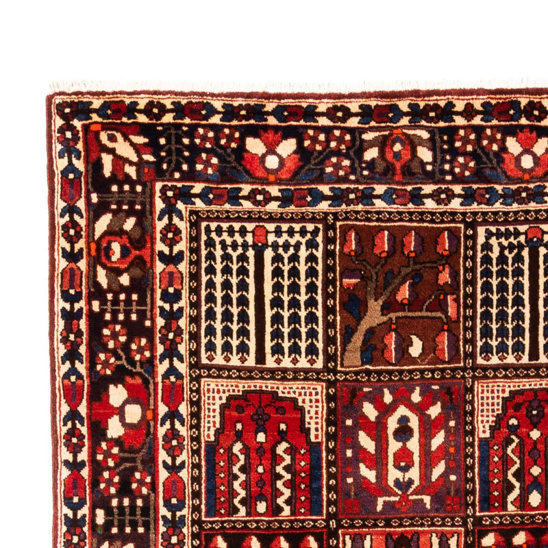 Bakhtiari Tapete 317x210cm - Tapete persa