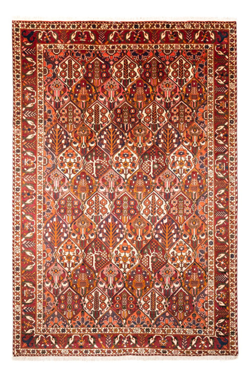 Bakhtiari Tapete 308x210cm - Tapete persa