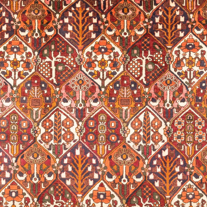 Bakhtiari Tapete 308x210cm - Tapete persa