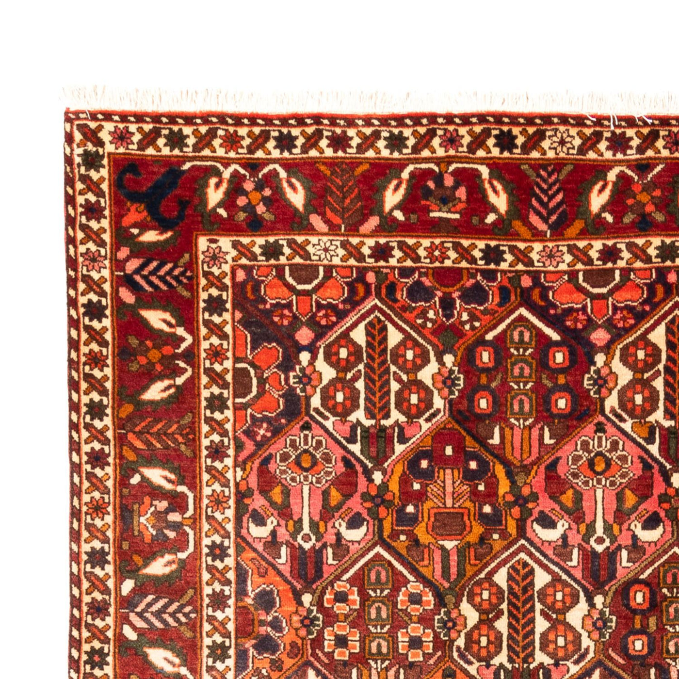 Bakhtiari Tapete 308x210cm - Tapete persa