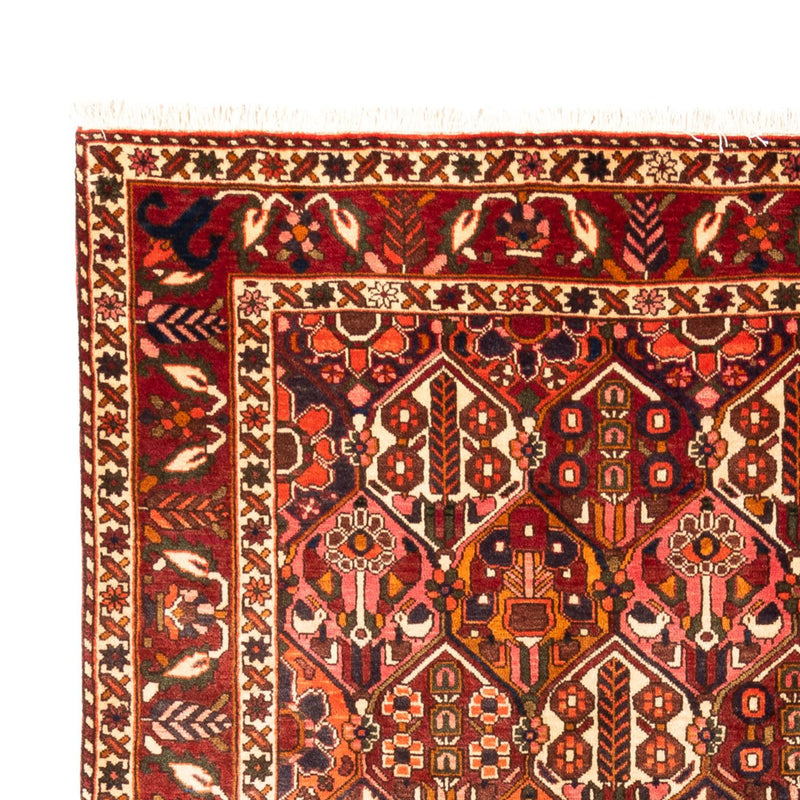 Bakhtiari Tapete 308x210cm - Tapete persa