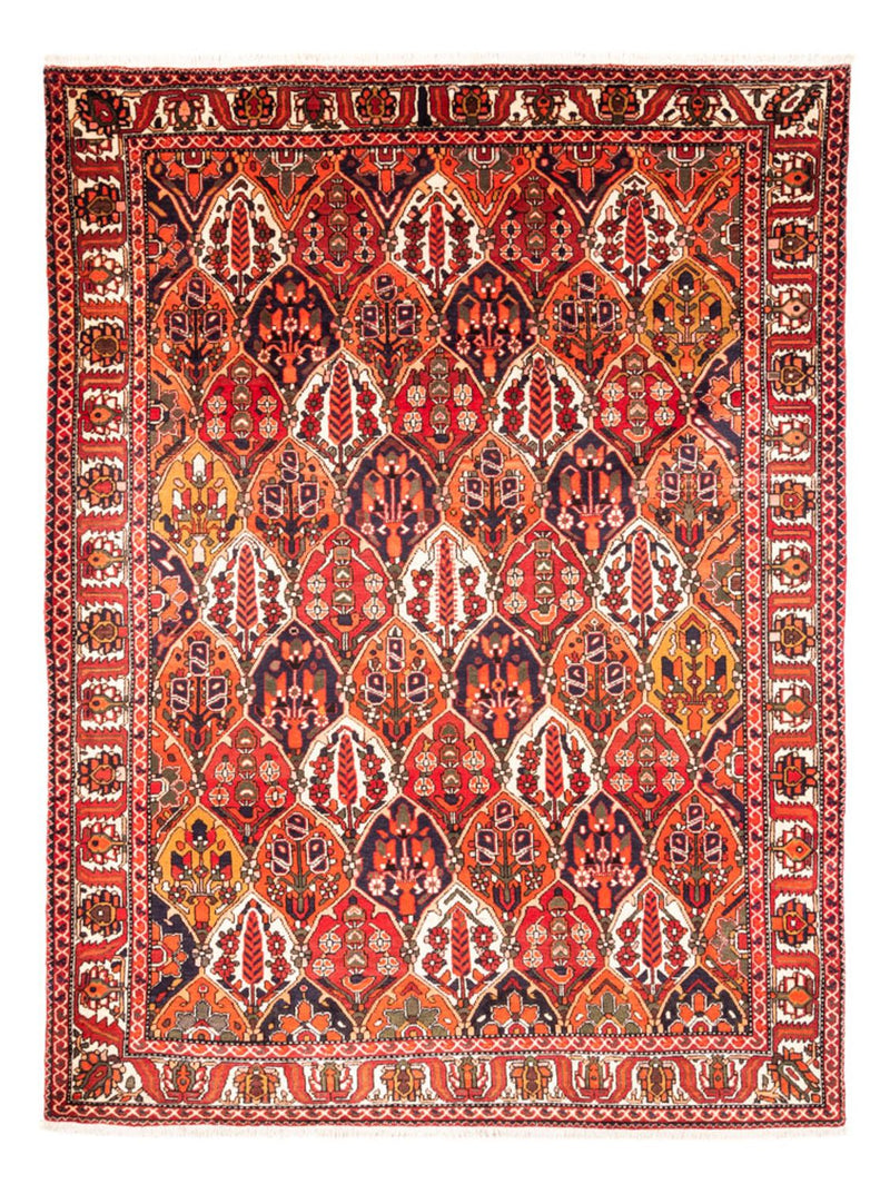 Tapete Persa - Nomadic - 300 x 220 cm - multicolorido