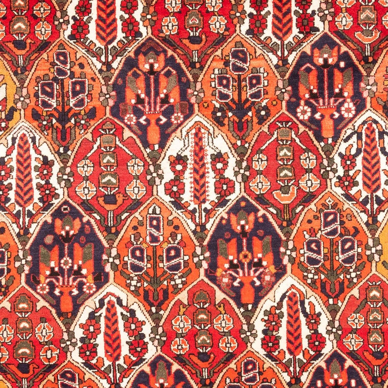 Tapete Persa - Nomadic - 300 x 220 cm - multicolorido