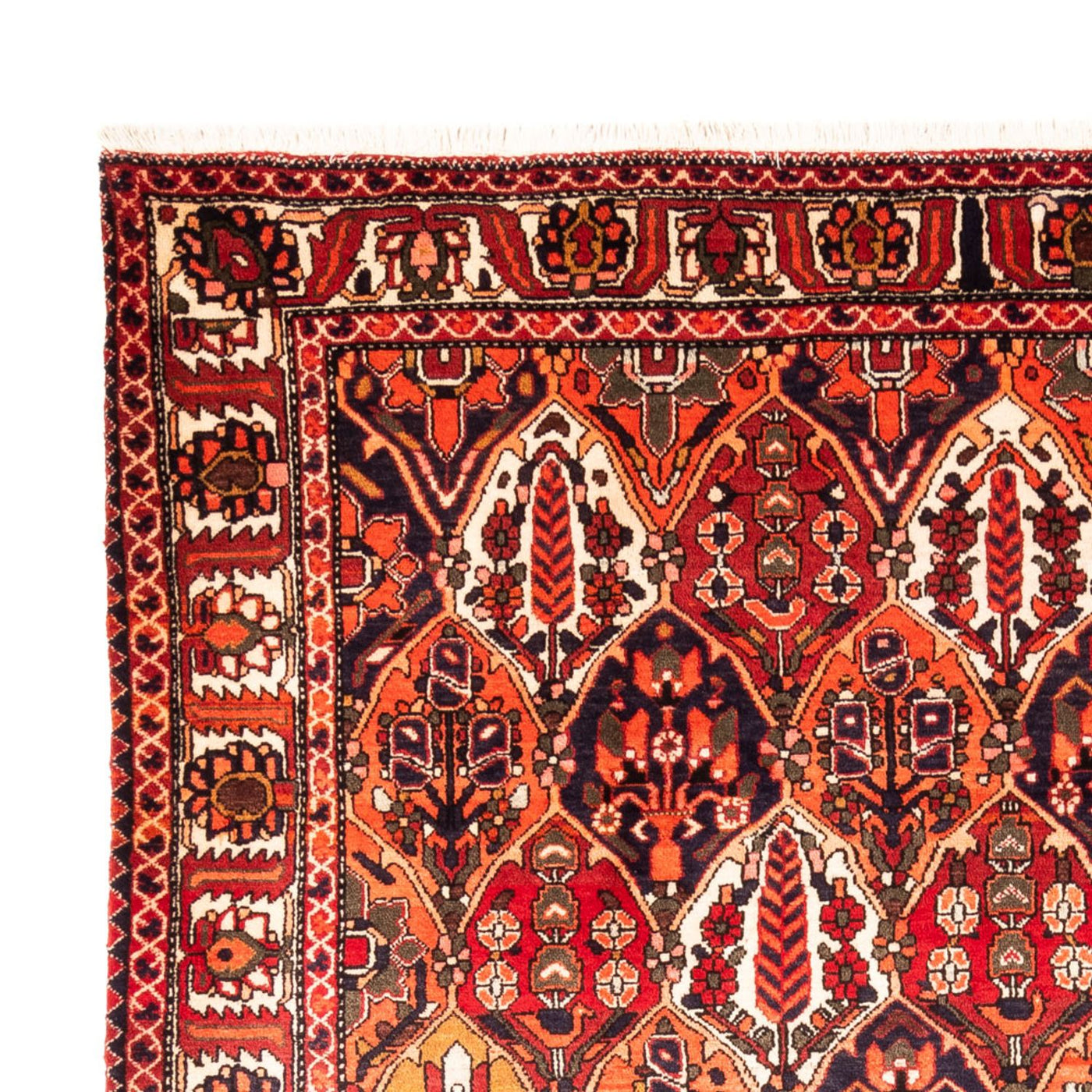 Tapete Persa - Nomadic - 300 x 220 cm - multicolorido