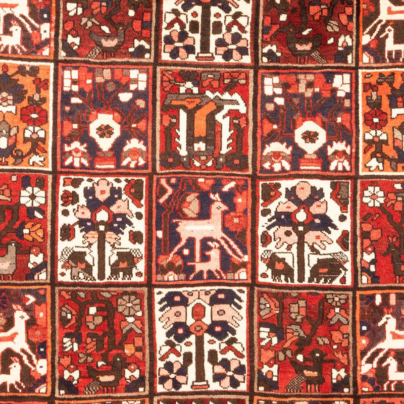 Bakhtiari Tapete 307x205cm - Tapete persa