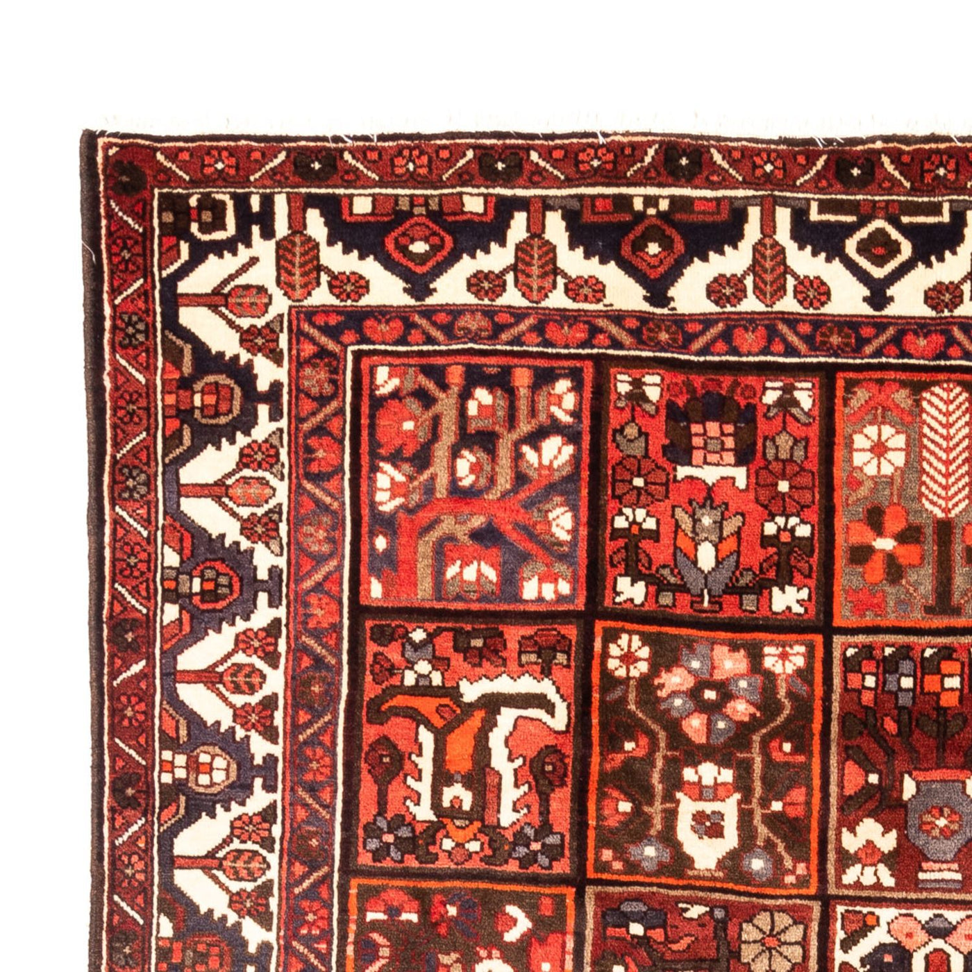 Bakhtiari Tapete 307x205cm - Tapete persa