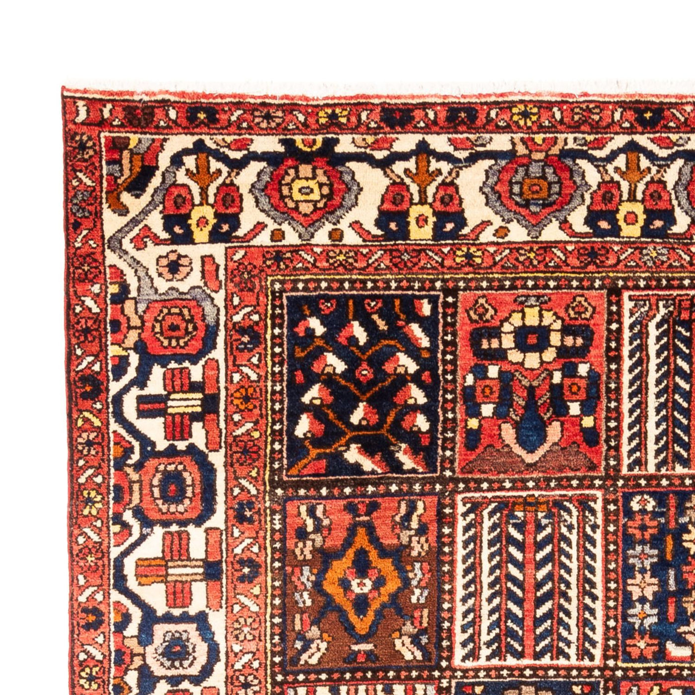Tapete Persa - Nomadic - 295 x 207 cm - multicolorido