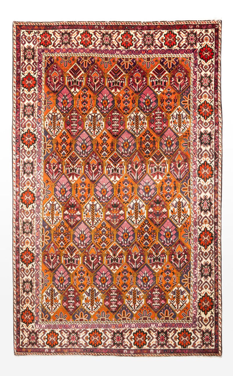 Tapete Persa - Nomadic - 310 x 203 cm - multicolorido
