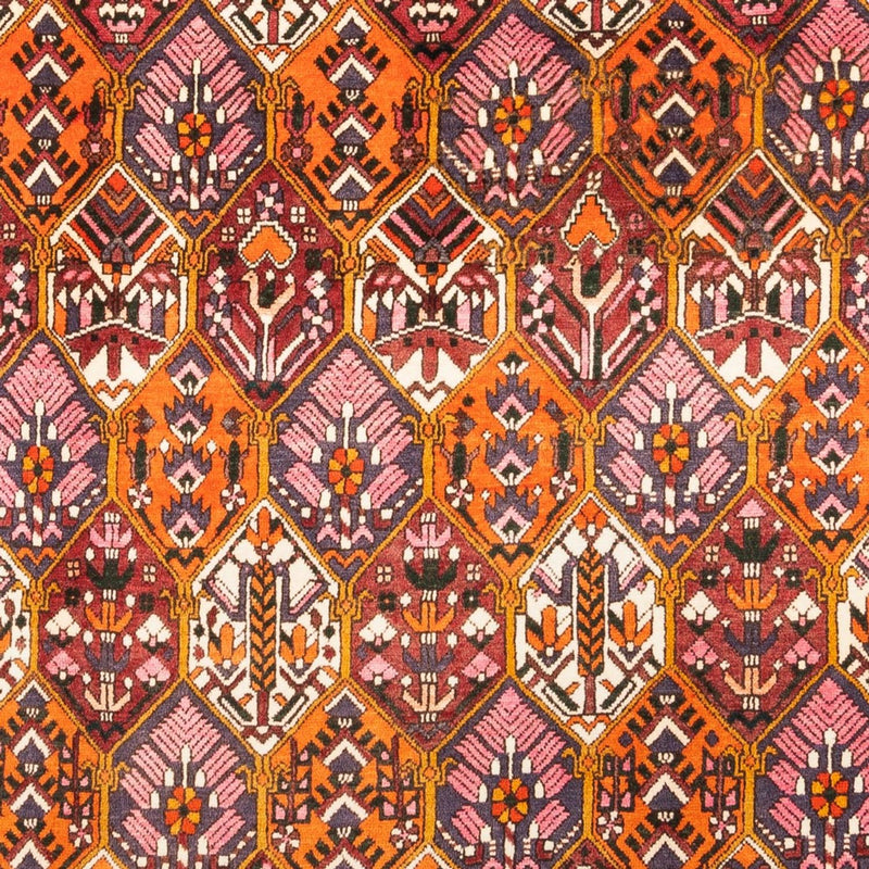 Tapete Persa - Nomadic - 310 x 203 cm - multicolorido