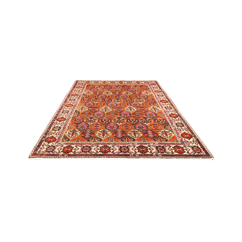 Tapete Persa - Nomadic - 310 x 203 cm - multicolorido