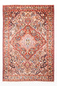 Bakhtiari Tapete 312x214cm - Tapete persa