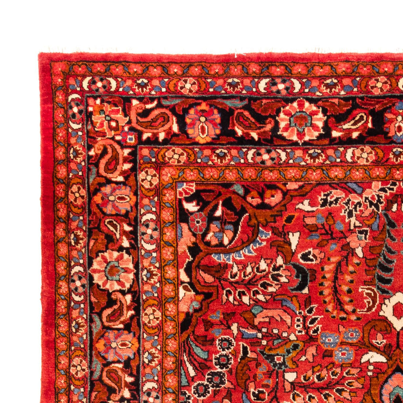 Lilian Tapete 340x227cm - Tapete persa