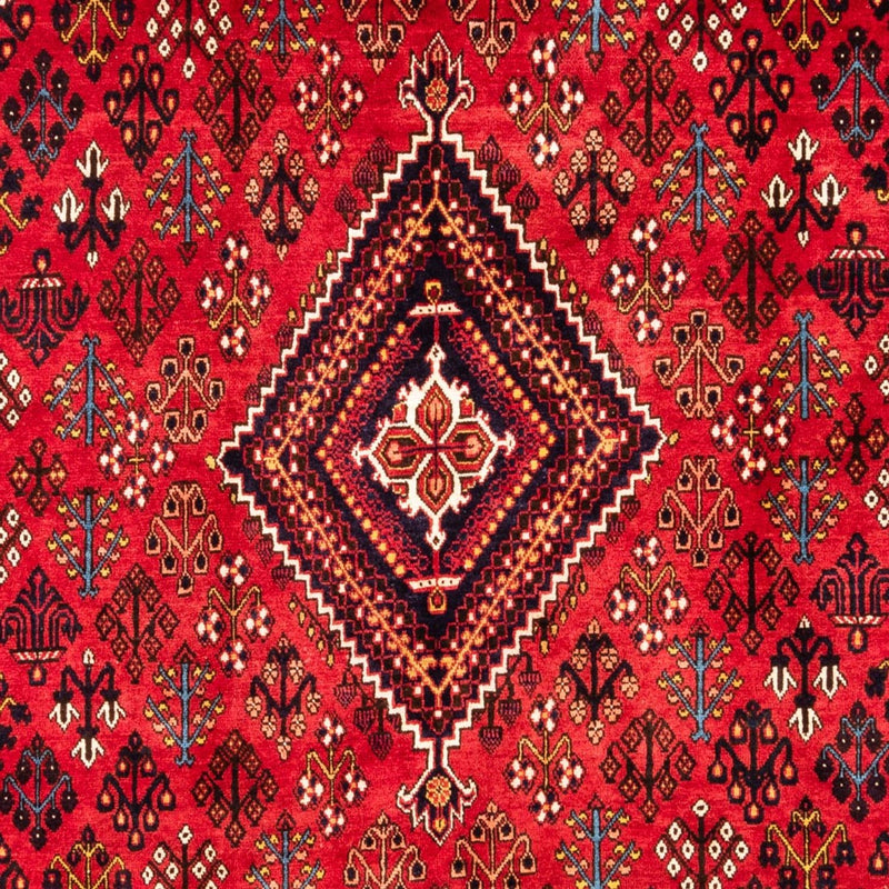 Meymeh Tapete 304x219cm - Tapete persa