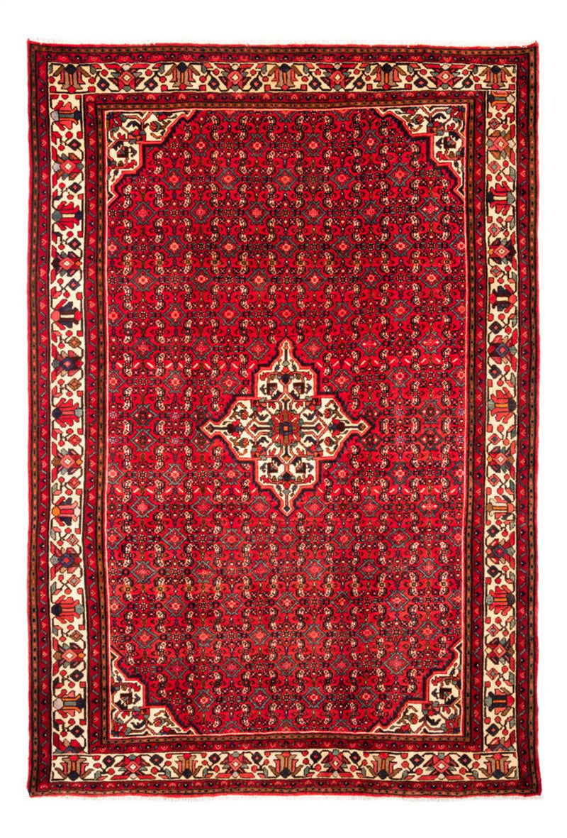 Hosseinabad Tapete 304x212cm - Tapete persa