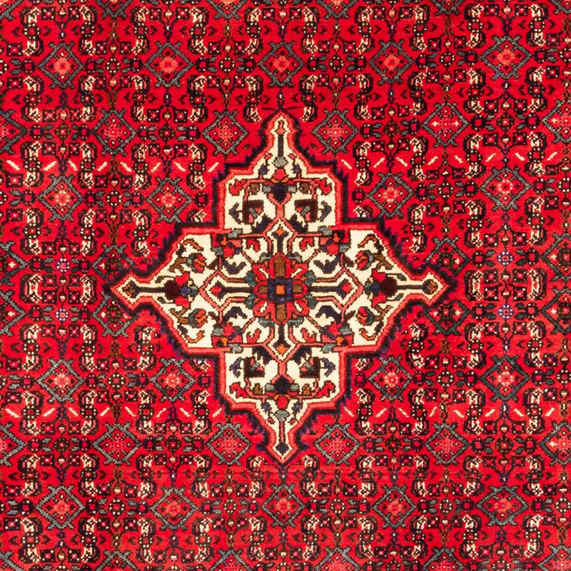 Hosseinabad Tapete 304x212cm - Tapete persa