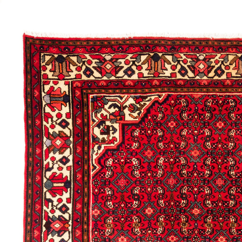 Hosseinabad Tapete 304x212cm - Tapete persa