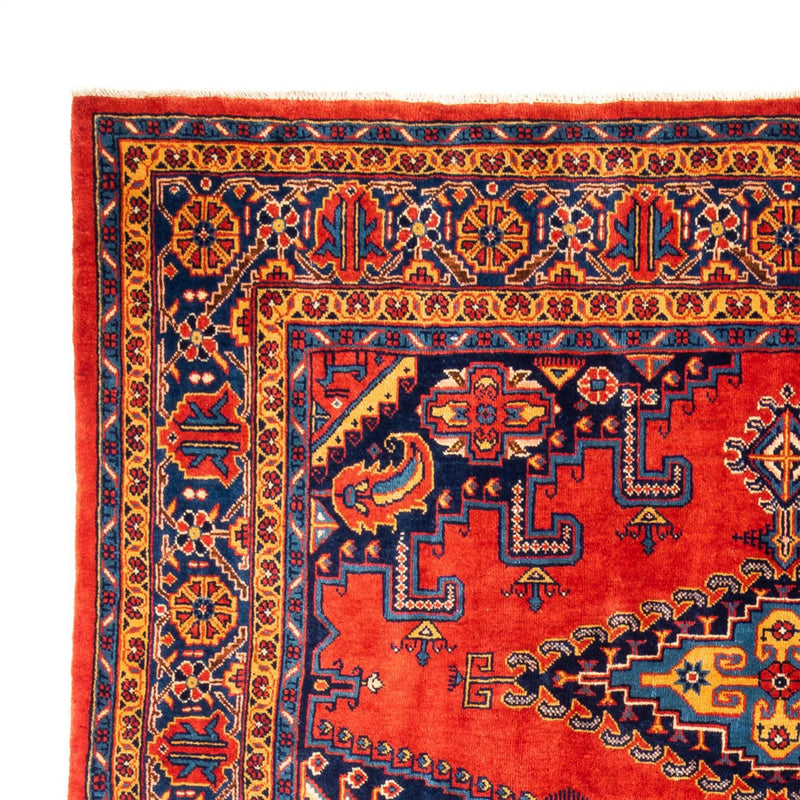 Wiss Tapete 313x235cm - Tapete persa