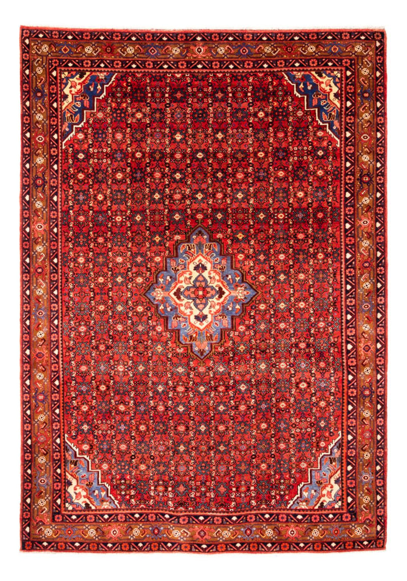 Hosseinabad Tapete 307x221cm - Tapete persa