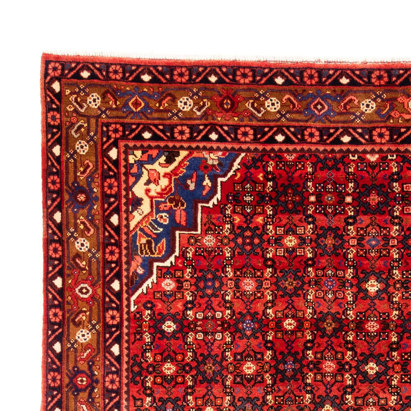 Hosseinabad Tapete 307x221cm - Tapete persa