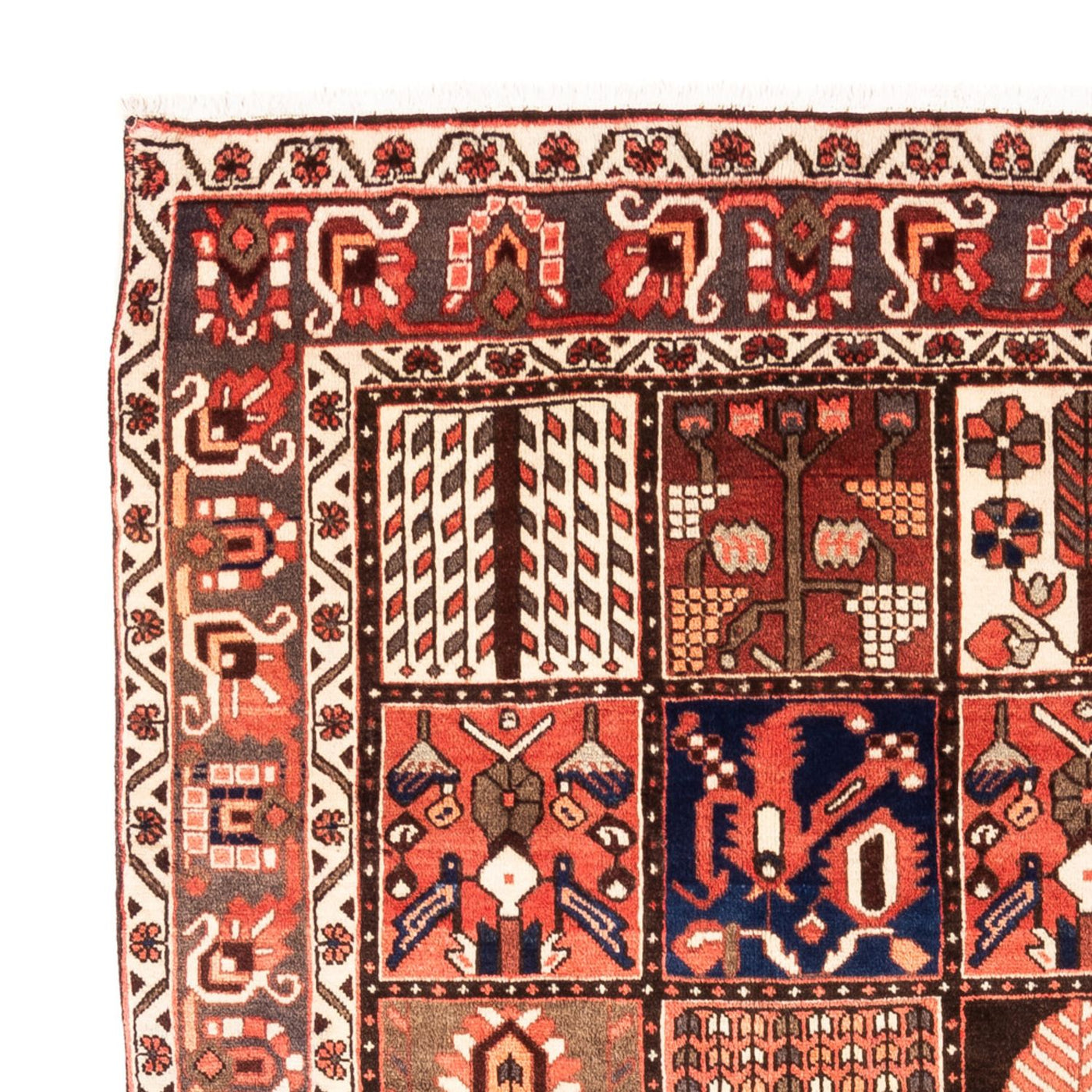 Bakhtiari Tapete 304x198cm - Tapete persa