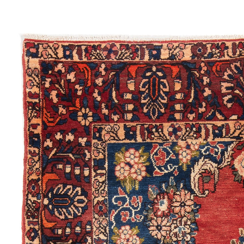 Bakhtiari Tapete 250x160cm - Tapete persa