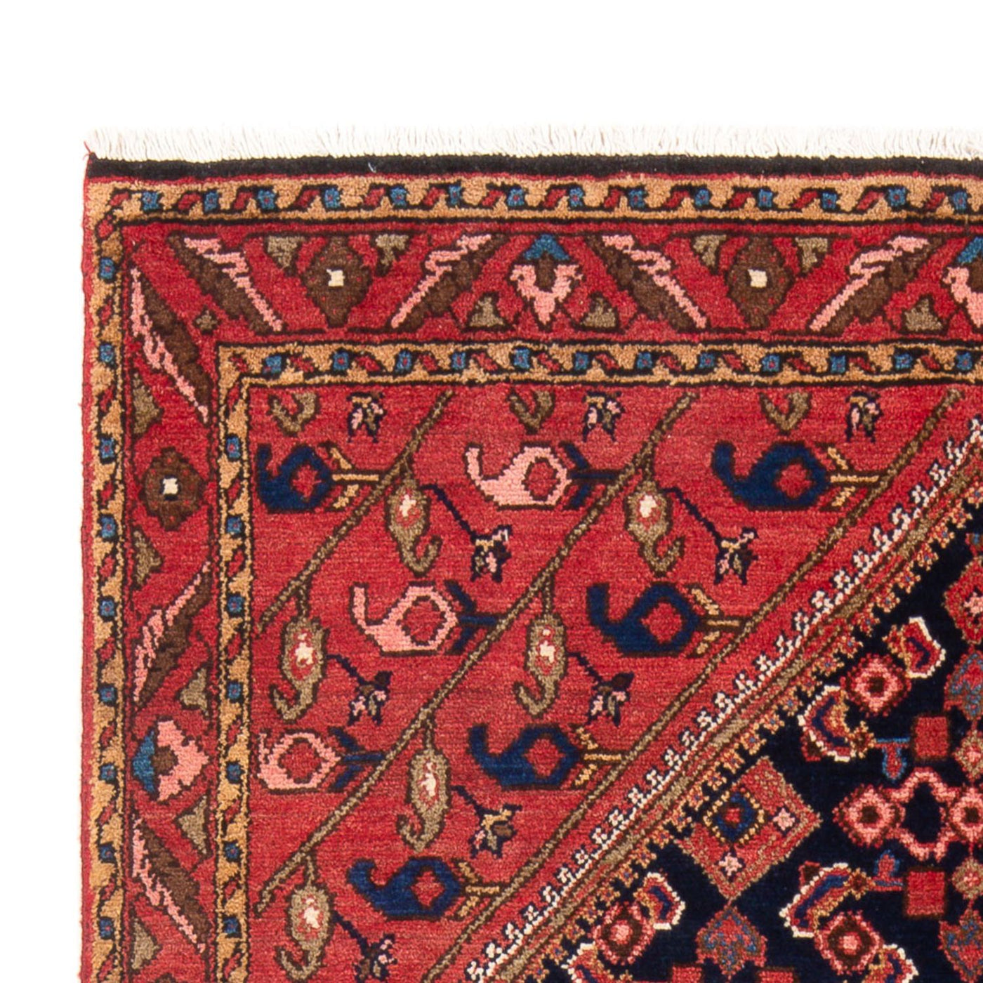 Borchalou Tapete 218x140cm - Tapete persa
