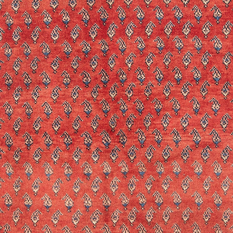 Hamadan Tapete 211x134cm - Tapete persa