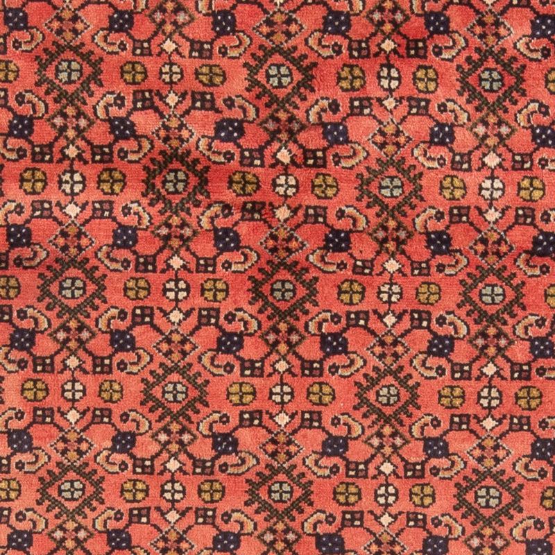 Hosseinabad Tapete 155x190cm - Tapete persa