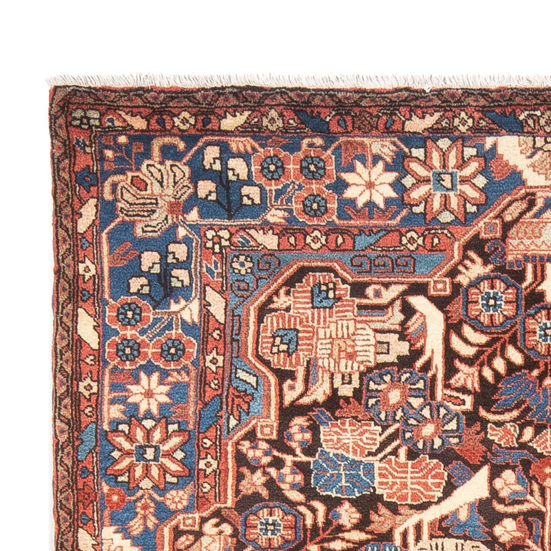Nahavand Tapete 244x155cm - Tapete persa