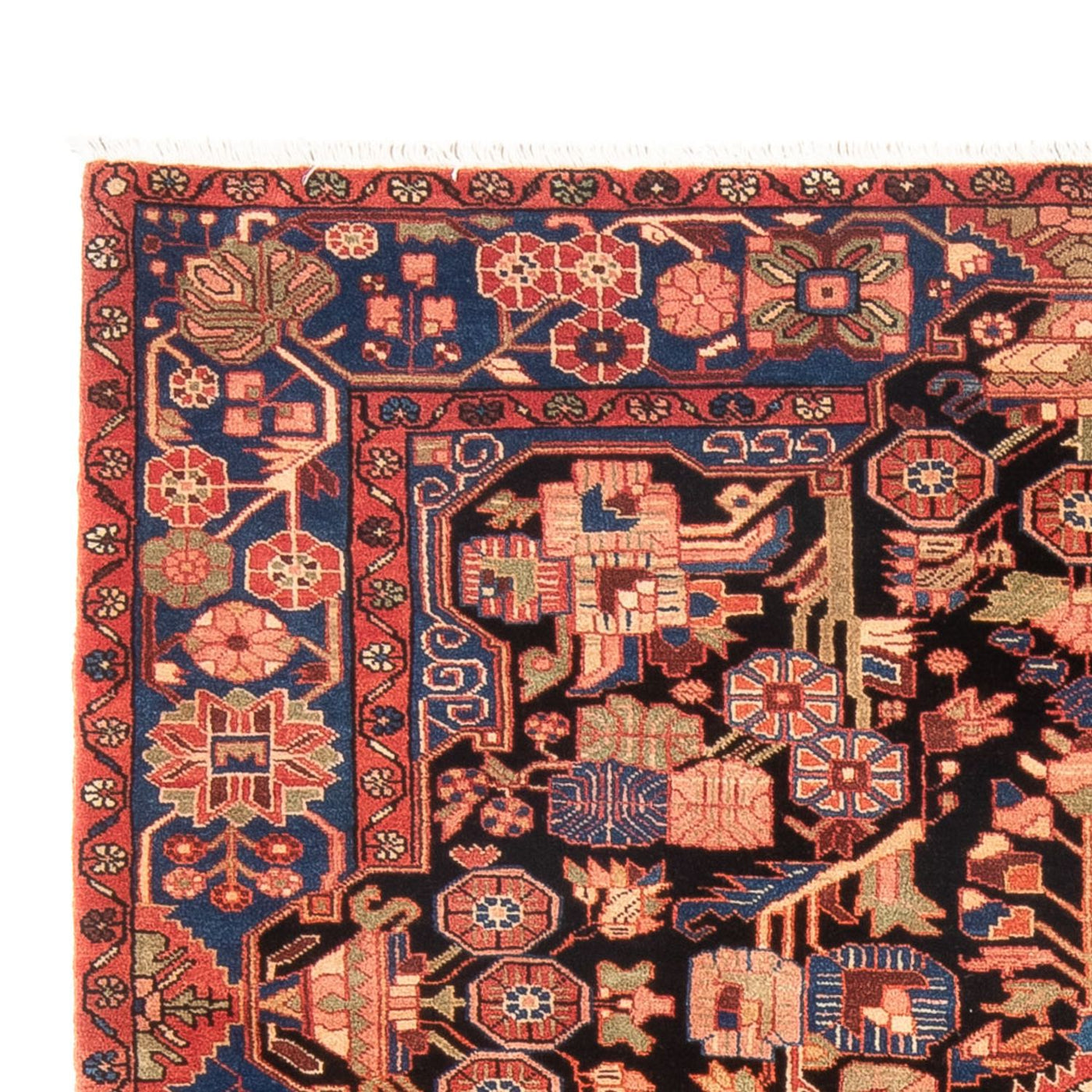 Tapete Persa - Nomadic - 234 x 158 cm - vermelho claro