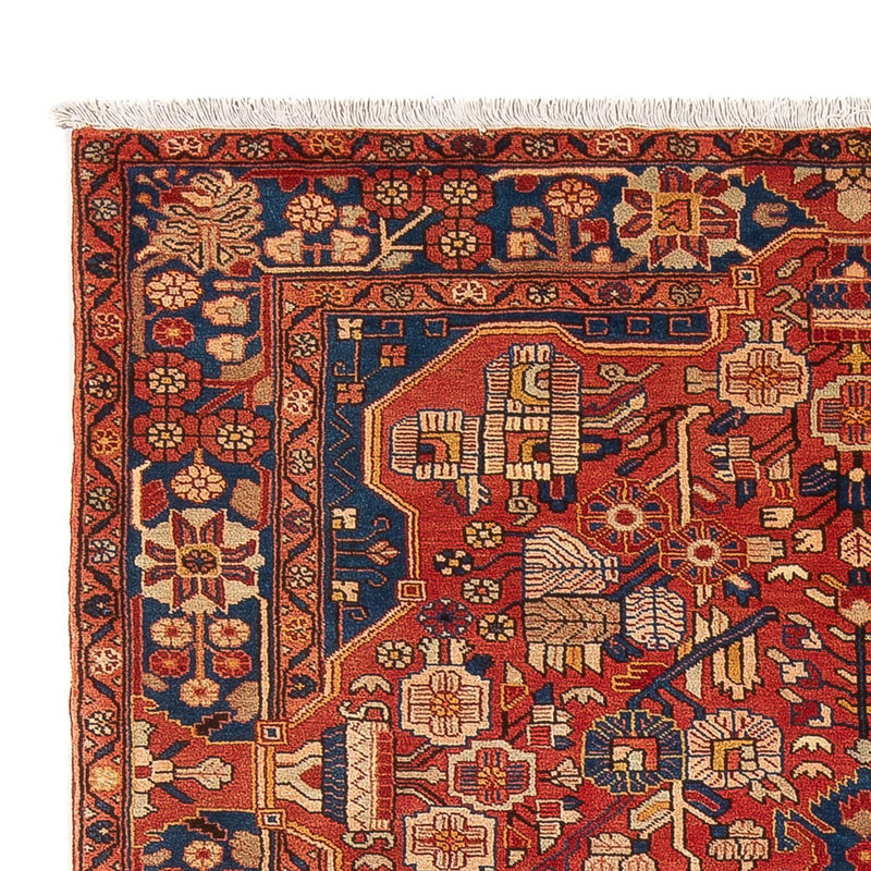 Tapete Persa - Nomadic - 232 x 157 cm - vermelho claro