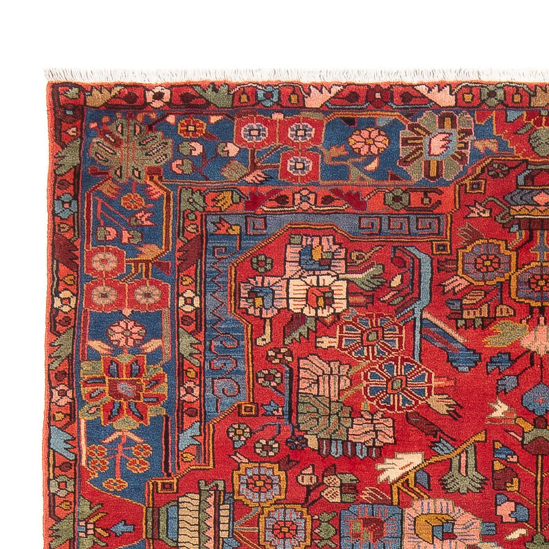 Nahavand Tapete 238x157cm - Tapete persa