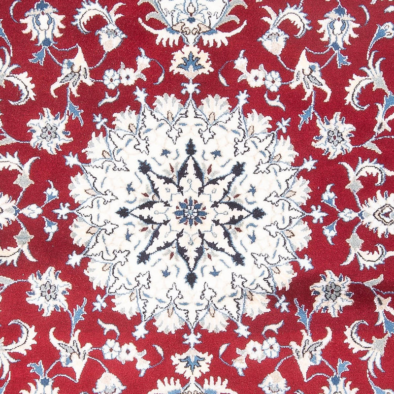 Nain Tapete 233x165cm - Tapete persa