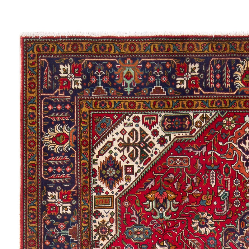 Kashan Tapete 294x202cm - Tapete persa