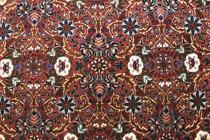 Bidjar Tapete 298x207cm - Tapete persa