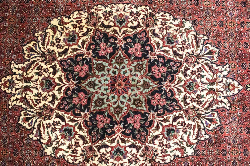 Bidjar Tapete 313x205cm - Tapete persa