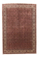 Bidjar Tapete 300x204cm - Tapete persa
