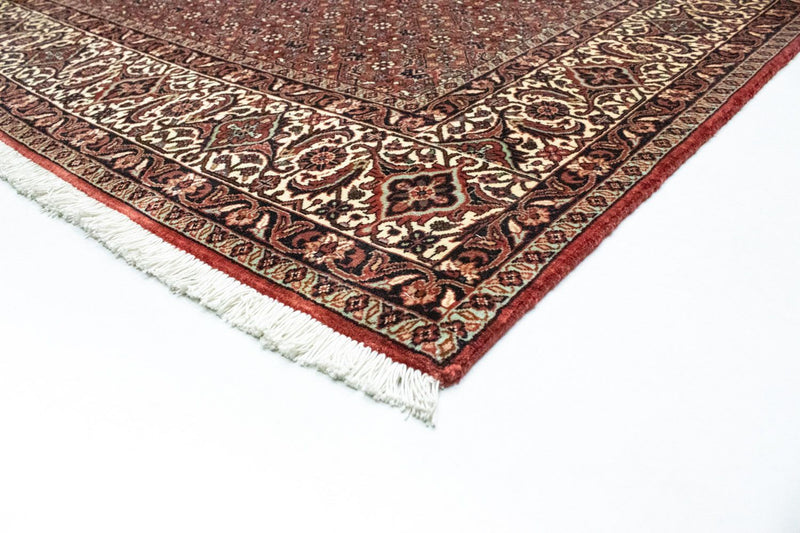 Bidjar Tapete 300x204cm - Tapete persa