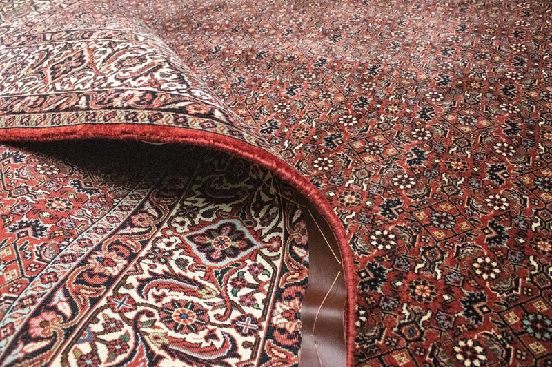 Bidjar Tapete 300x204cm - Tapete persa