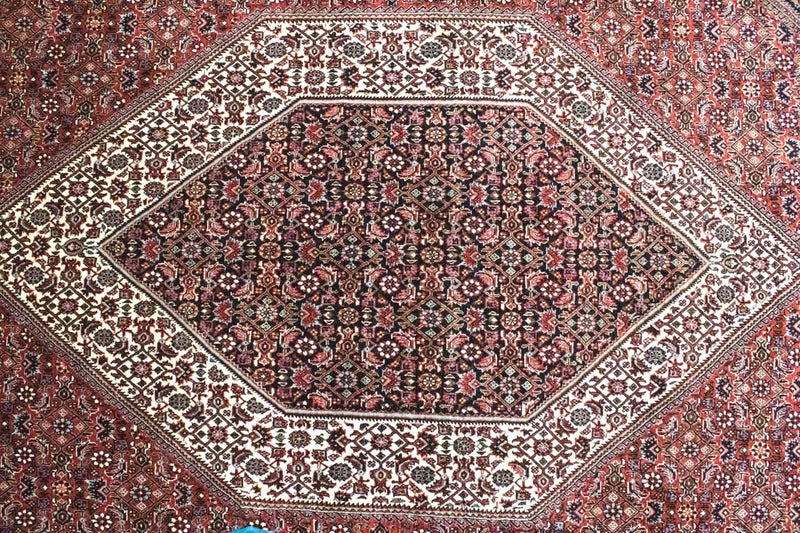 Bidjar Tapete 300x200cm - Tapete persa
