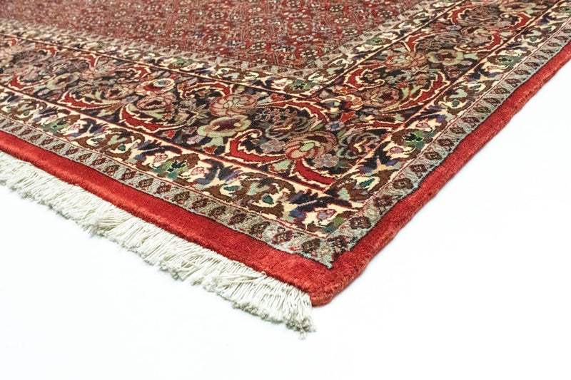 Bidjar Tapete 300x211cm - Tapete persa