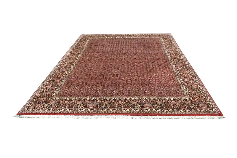Bidjar Tapete 300x211cm - Tapete persa