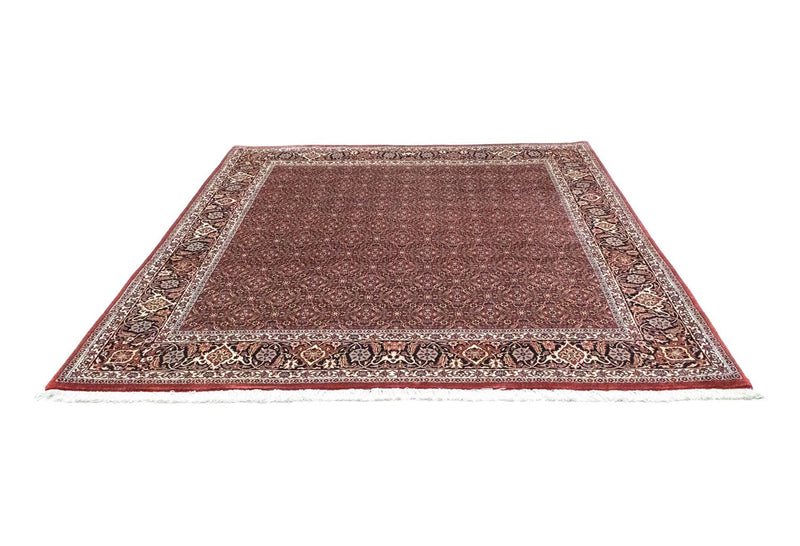 Bidjar Tapete 210x210cm - Tapete persa