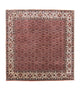 Bidjar Tapete 210x203cm - Tapete persa