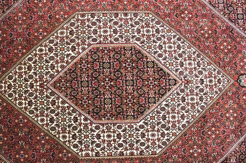 Bidjar Tapete 300x207cm - Tapete persa