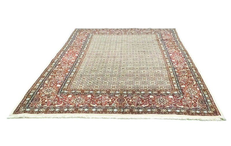 Moud Tapete 253x196cm - Tapete persa