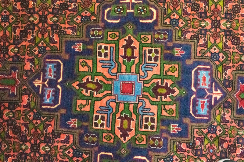 Kolyai Tapete 305x200cm - Tapete persa