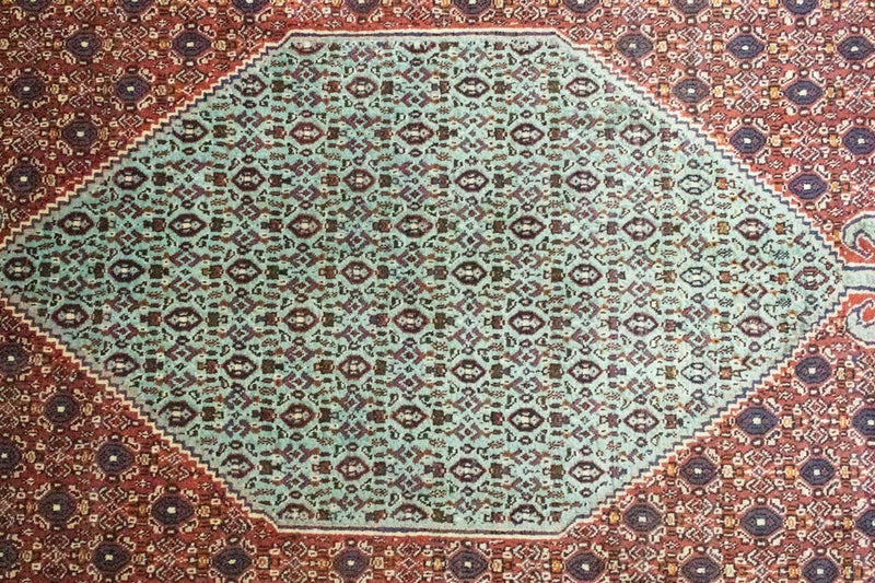 Senneh Tapete 299x198cm - Tapete persa