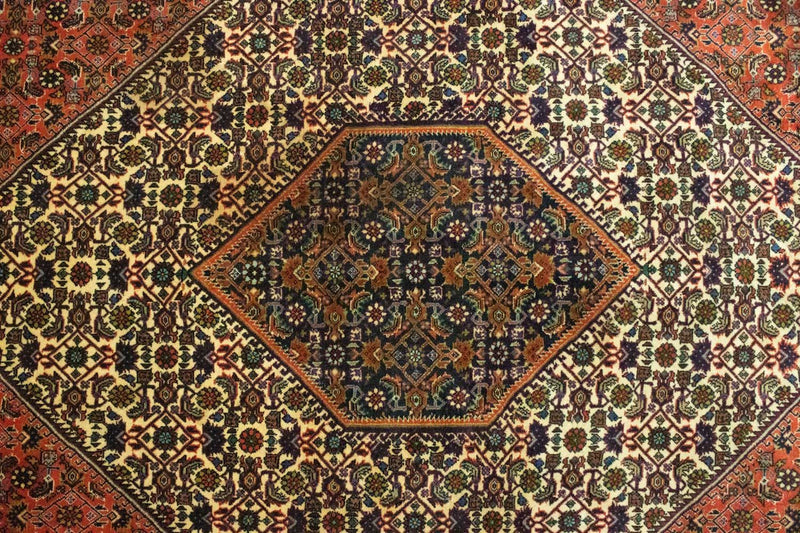 Bidjar Tapete 300x202cm - Tapete persa